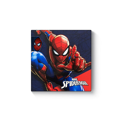 Marvel Spider-Man Pack